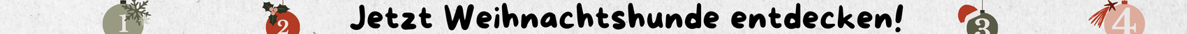Banner klein Dash Adventskalender 2025 - für Website
