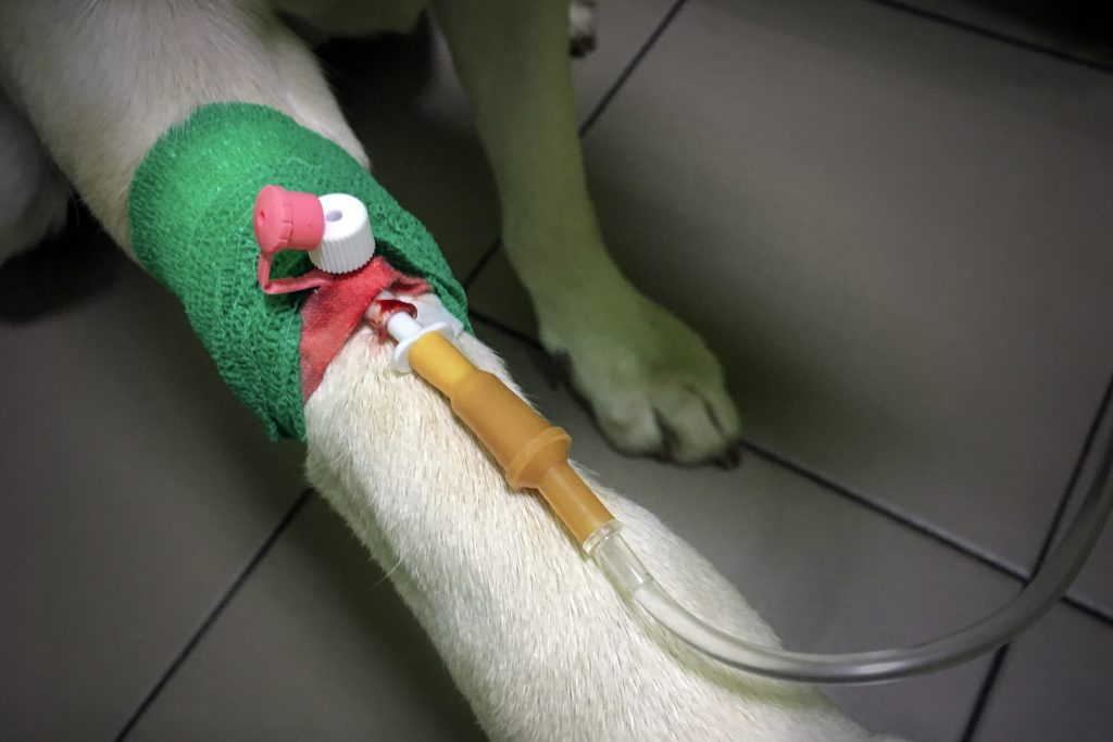 Giftköder Griechenland