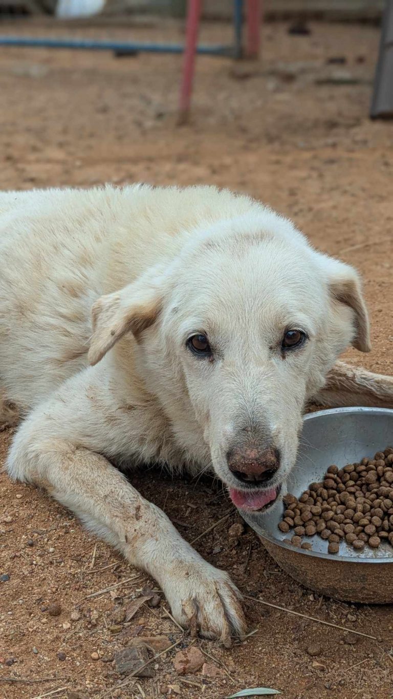 491022016_2231524467363163_8877126084606343658_n