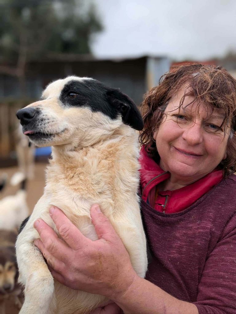 3abbef08-1cae-4142-9908-2e4cda285c54