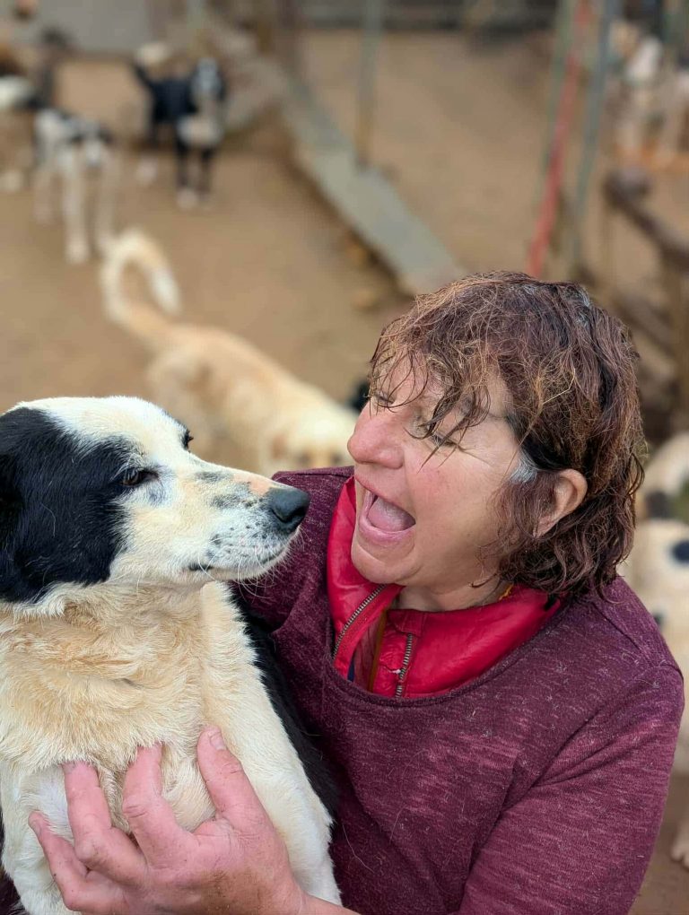 5448d059-d007-4ea0-9150-50b35d456ac3