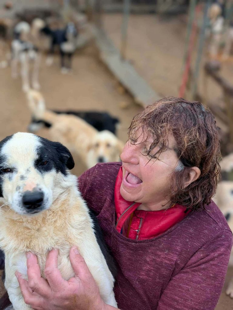 8d7d7455-b23b-4ac1-9f08-cf0999c262ff