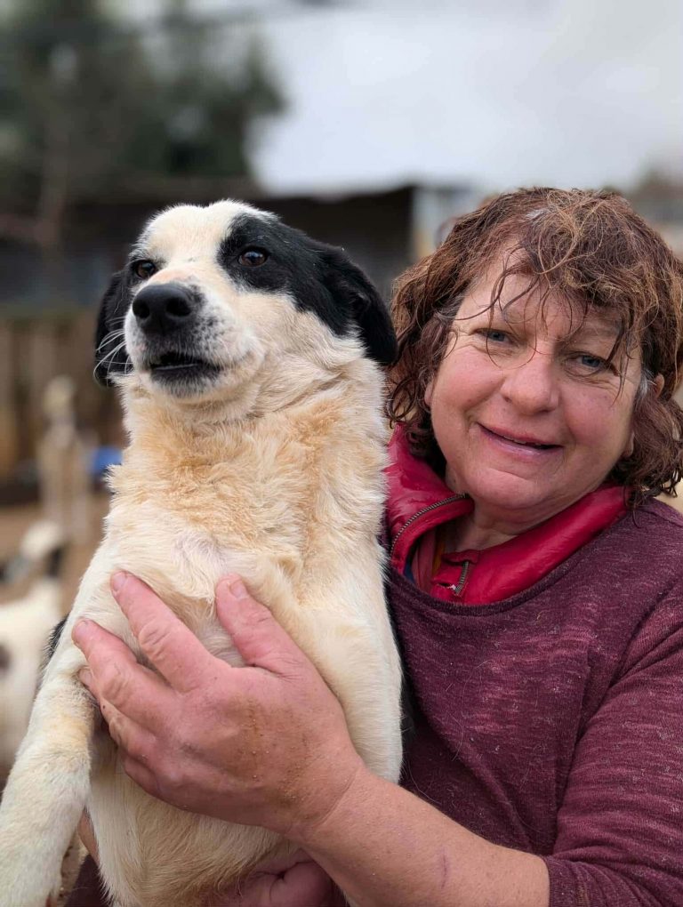 a1d647ea-5247-4a40-bdb8-a75e699718f5