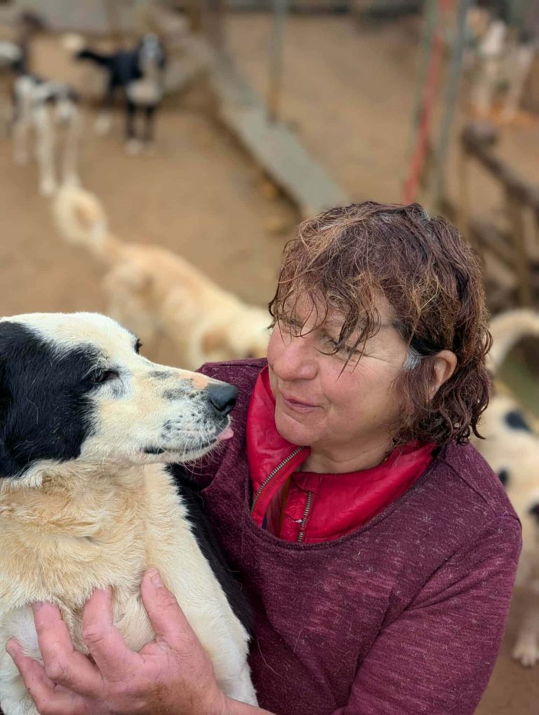 b1bfdd1b-065f-4f99-a693-c461e8b08b20