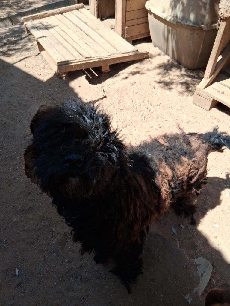 00c79b04-9082-439b-a452-72b5dd39eeae