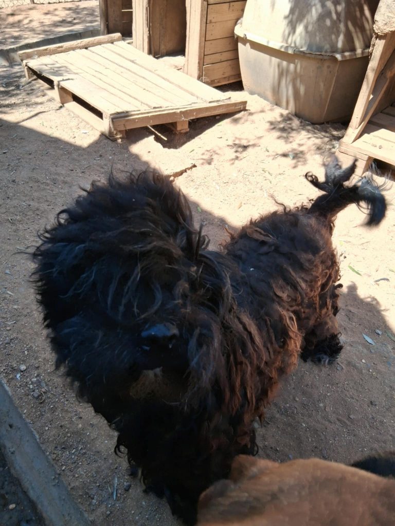 8f480c27-6da9-4c1c-a80a-962efbfc10ef