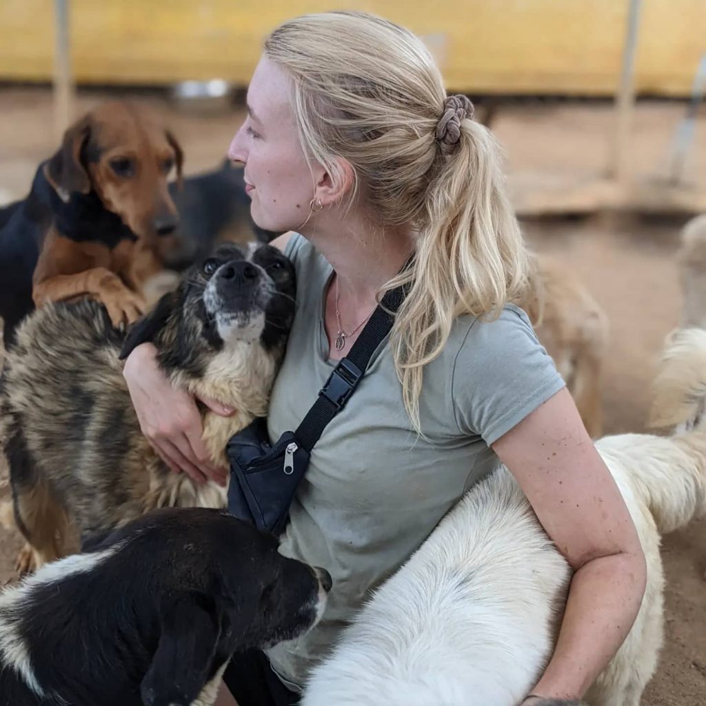 Freiwilligenarbeit im Tierschutz