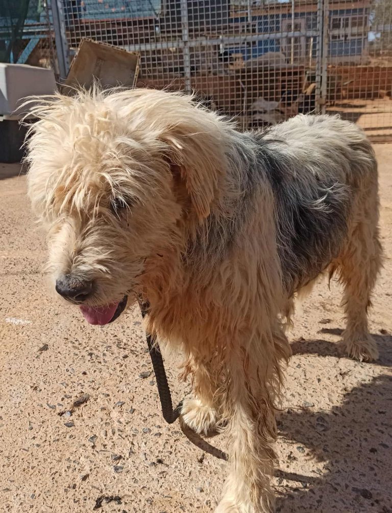 548679063_1523441455351545_8812164574477757753_n