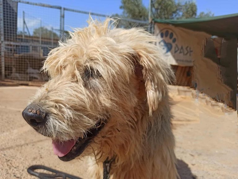 549892911_782953717763031_4927054346243579049_n