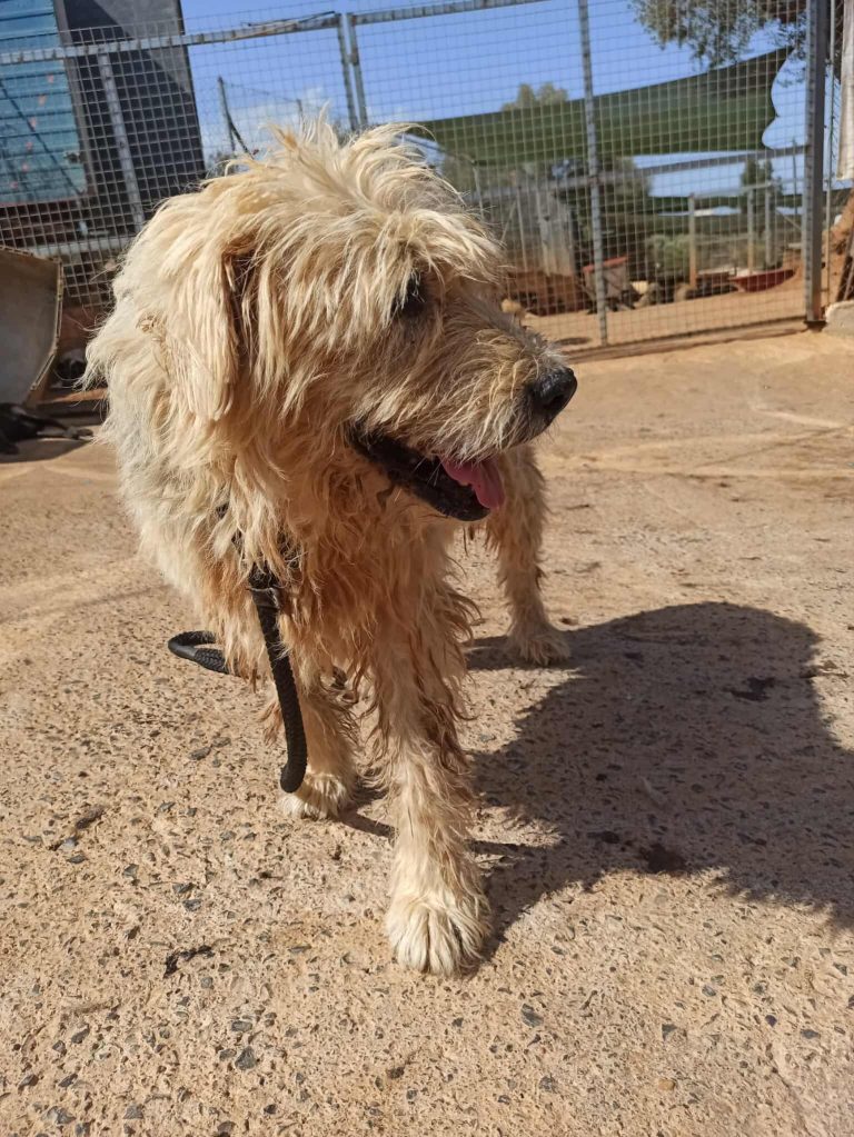 549986556_1993635724743650_3227596192258774642_n