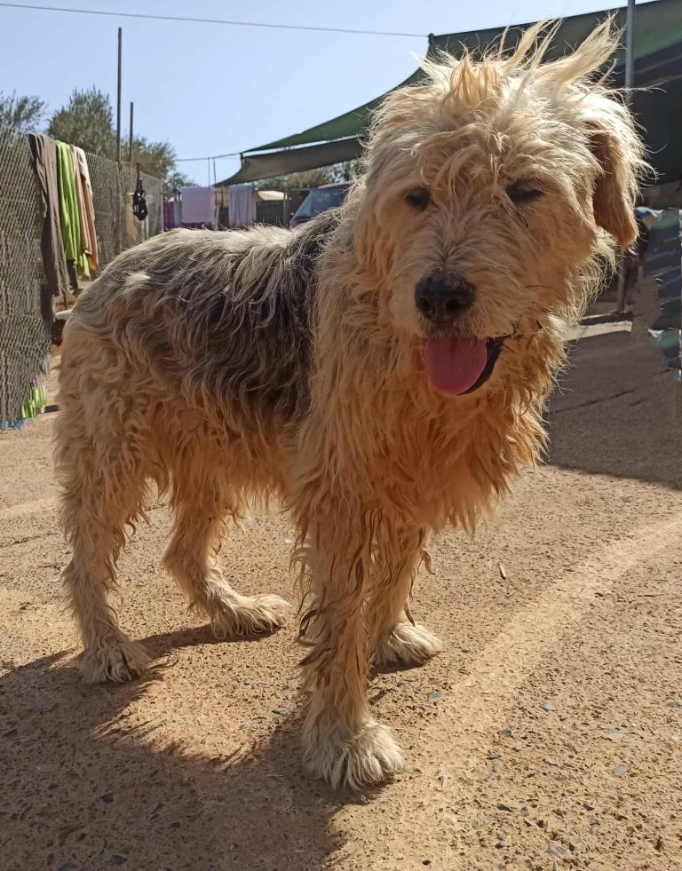 550286467_833599442646690_2286535857719260572_n