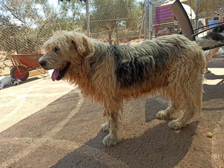 550472613_820697660494738_8010473208576137568_n