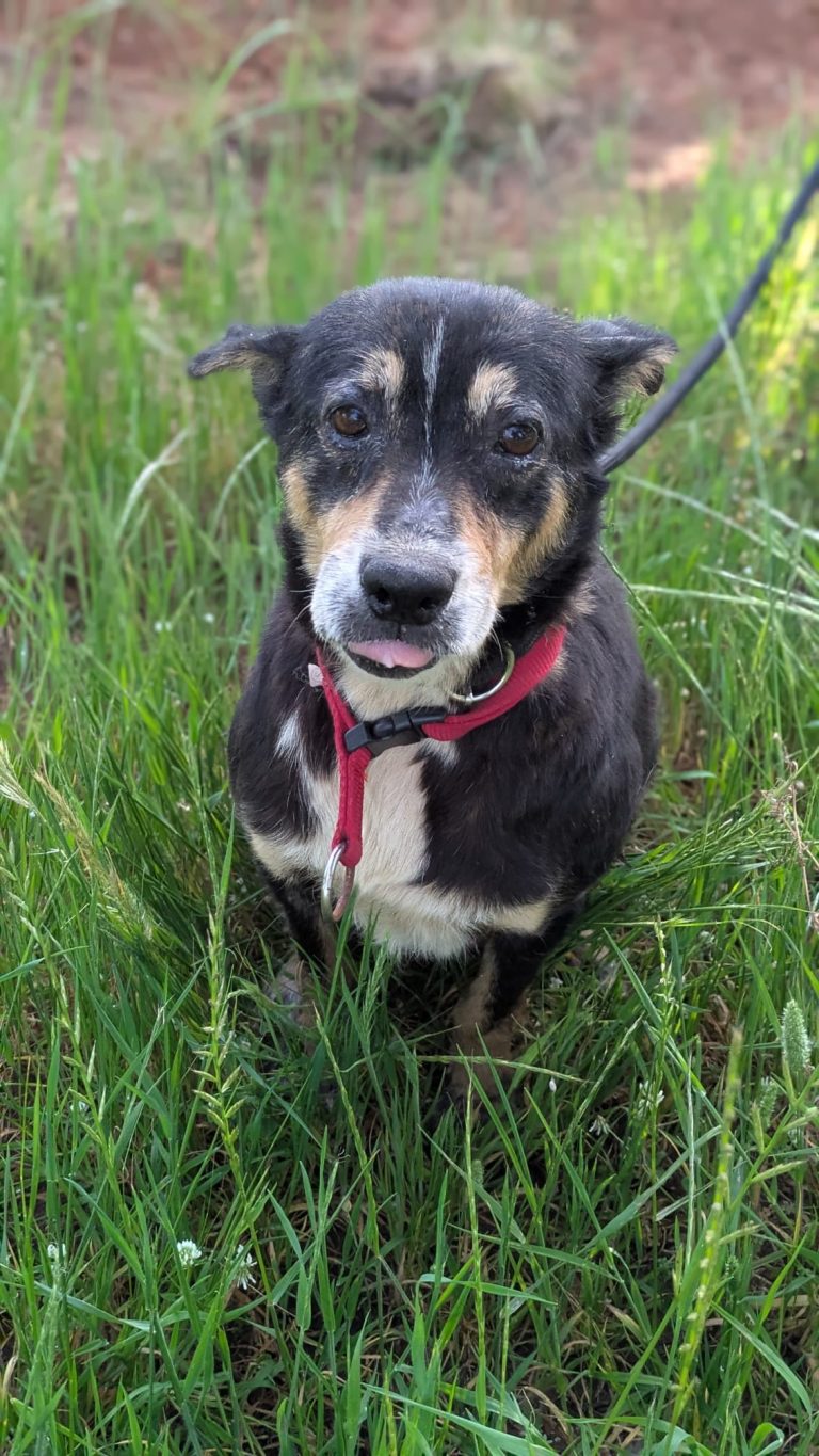 4278c784-6daf-43ac-afc3-bcddb850b65b