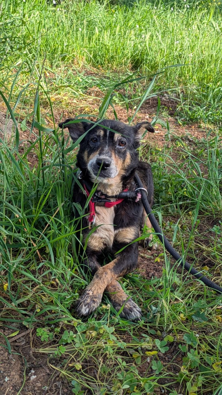 89035fad-40c7-45bf-8e13-109d617e2de9