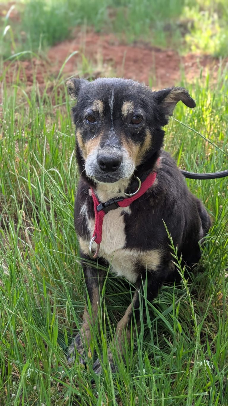 b9951a57-2b6d-4b8b-adb7-2cbd45fb3df1