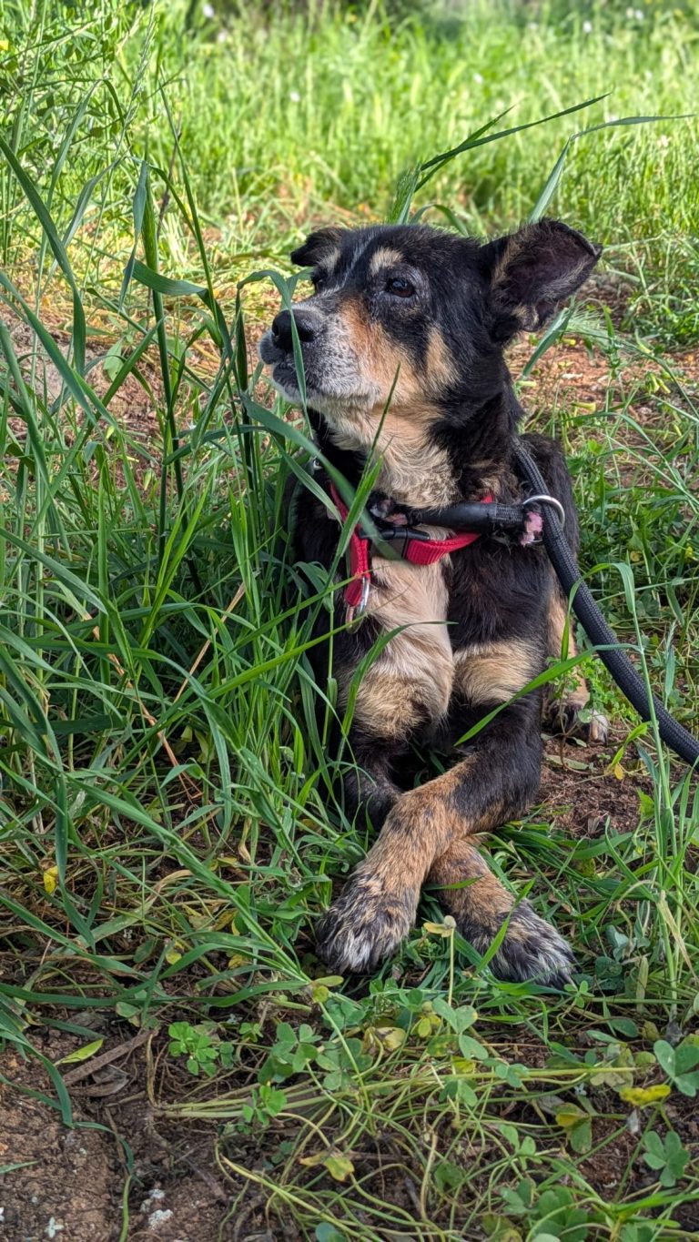 ed15ebb2-1a05-42e1-899c-7d497c9c4f7d