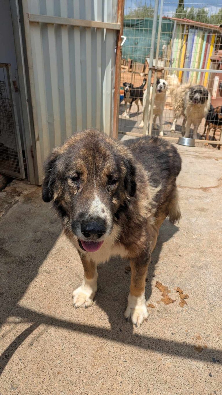 491556328_973581978278774_4872003248005278505_n