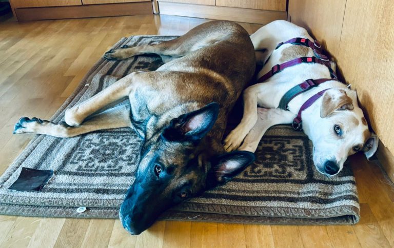 12cd1a84-c194-445e-89d7-90413d624aaa neu