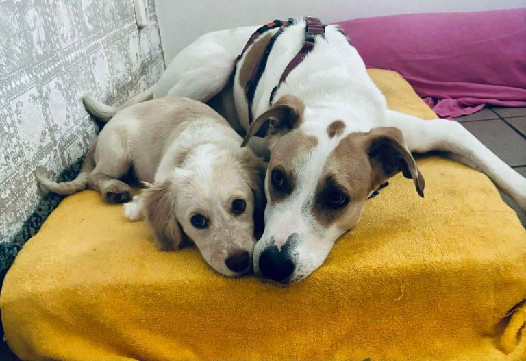 3dddb706-61e8-46d3-9cdc-abef286210b1