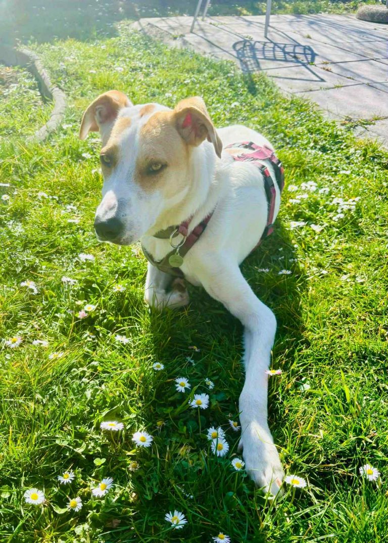 4827912f-b64e-41ae-9d5d-bc9ca2571860