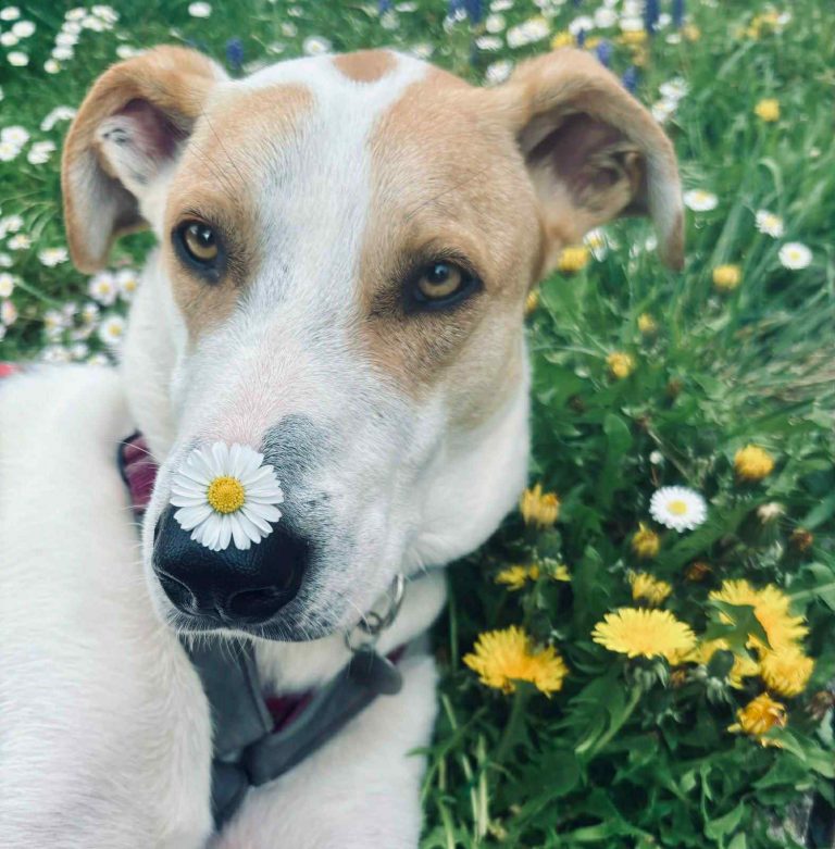 673471b7-0f10-4865-b7c2-6c615a4c86a4