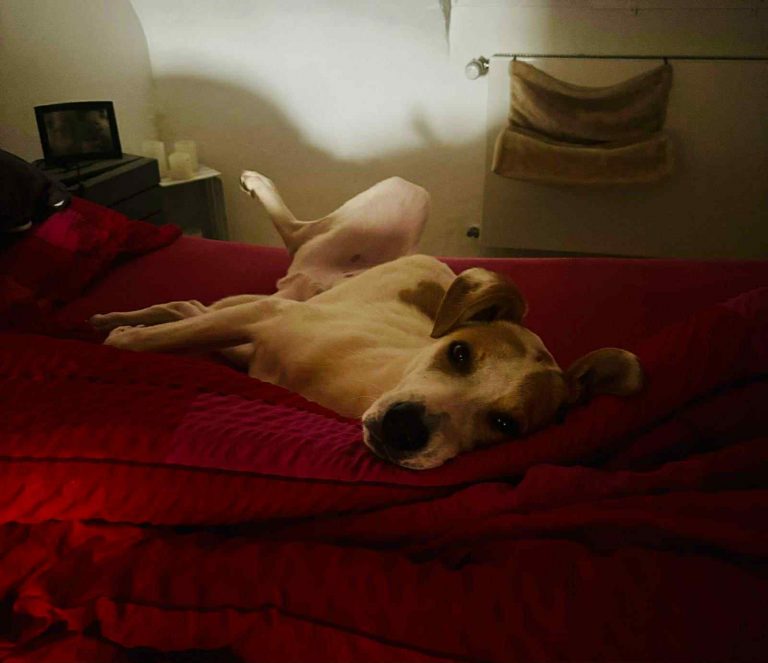 74941208-78f0-4c3e-a4e0-8f435d9b1205