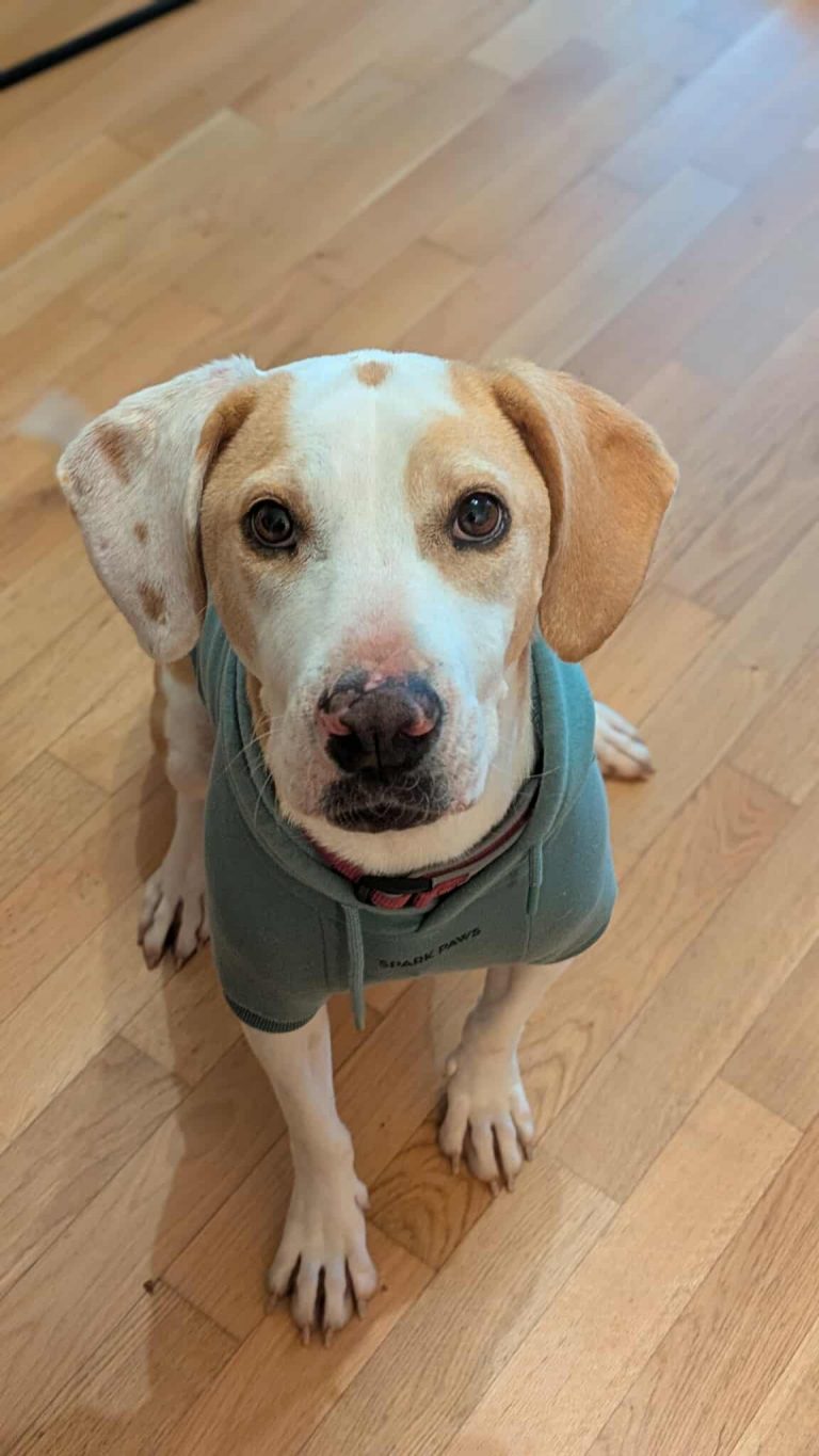 575725715_786924440881386_1747655047682615324_n