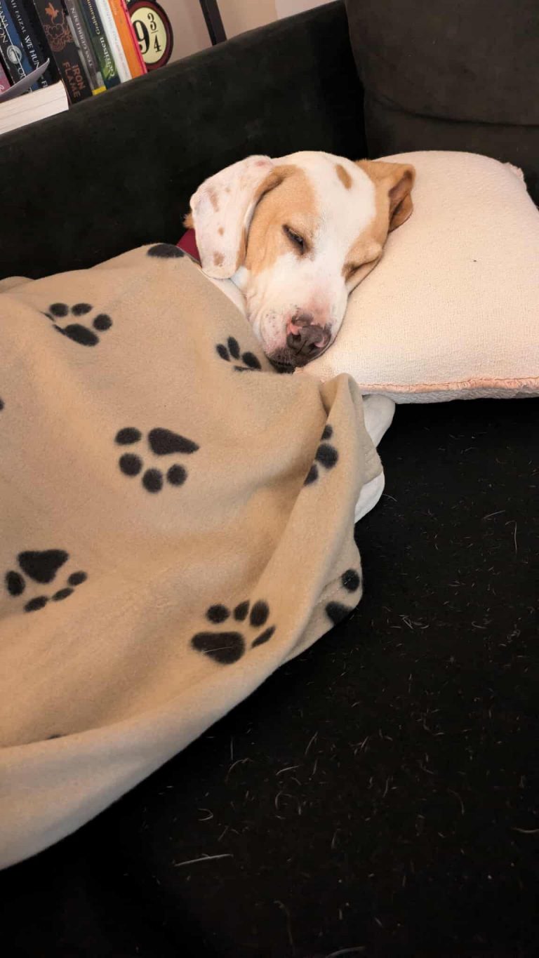 583016137_1774513796545208_8247587090035936651_n