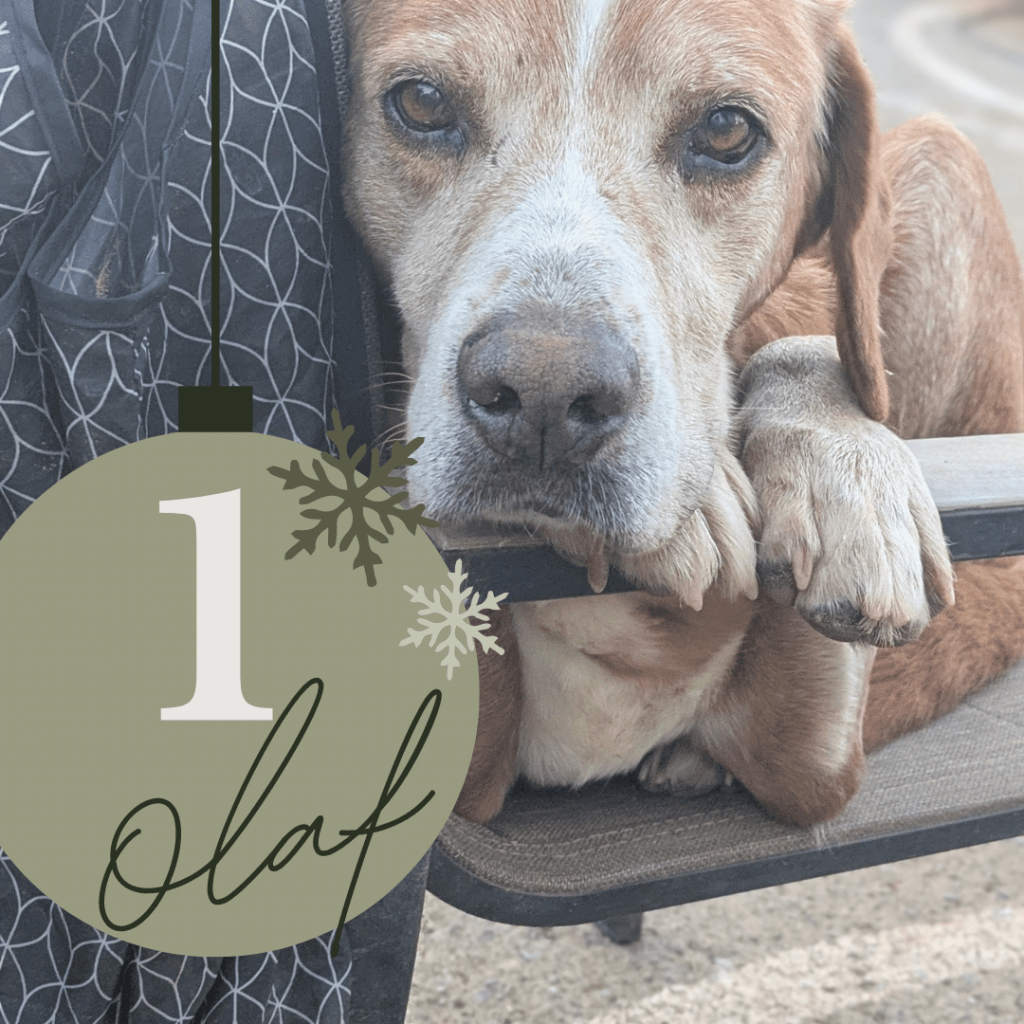 Adventskalender 25 Tür 1 geöffnet