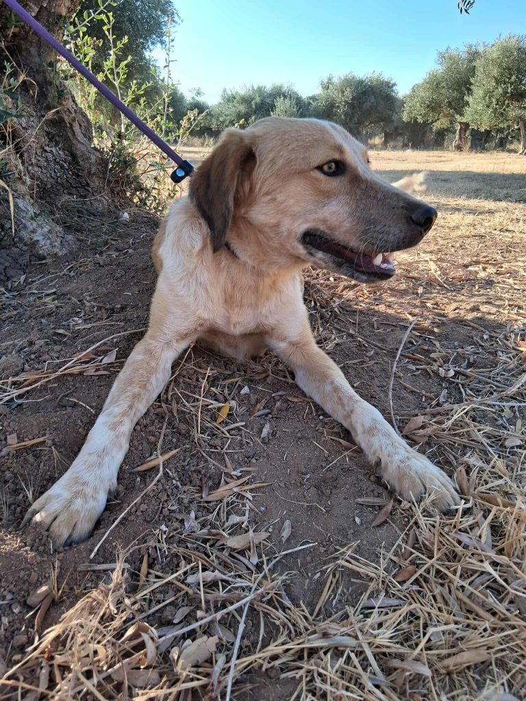 175352d5-53bb-42be-95d1-9acbb48cb1a1