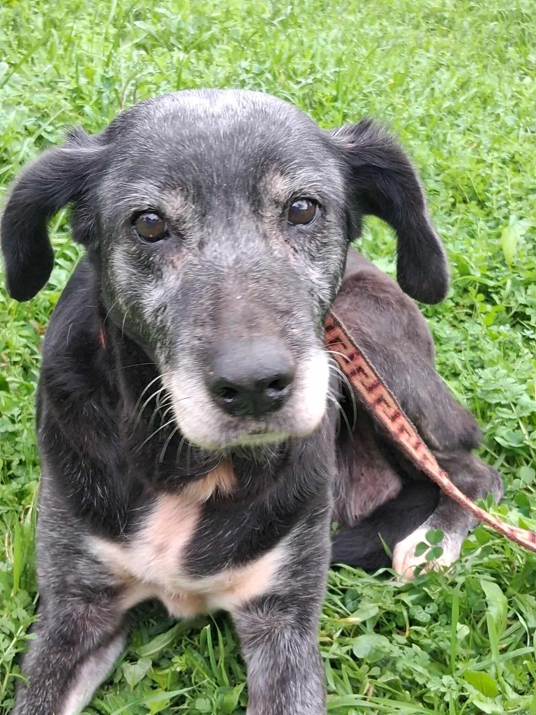 1830a3b91a6b8edec6ad2ed87ab3e093