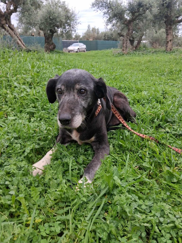 208348906f91faefe18f6dd5fbd8aa6f