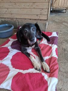 518107483 1170933935075891 5451320256555873152 n 2