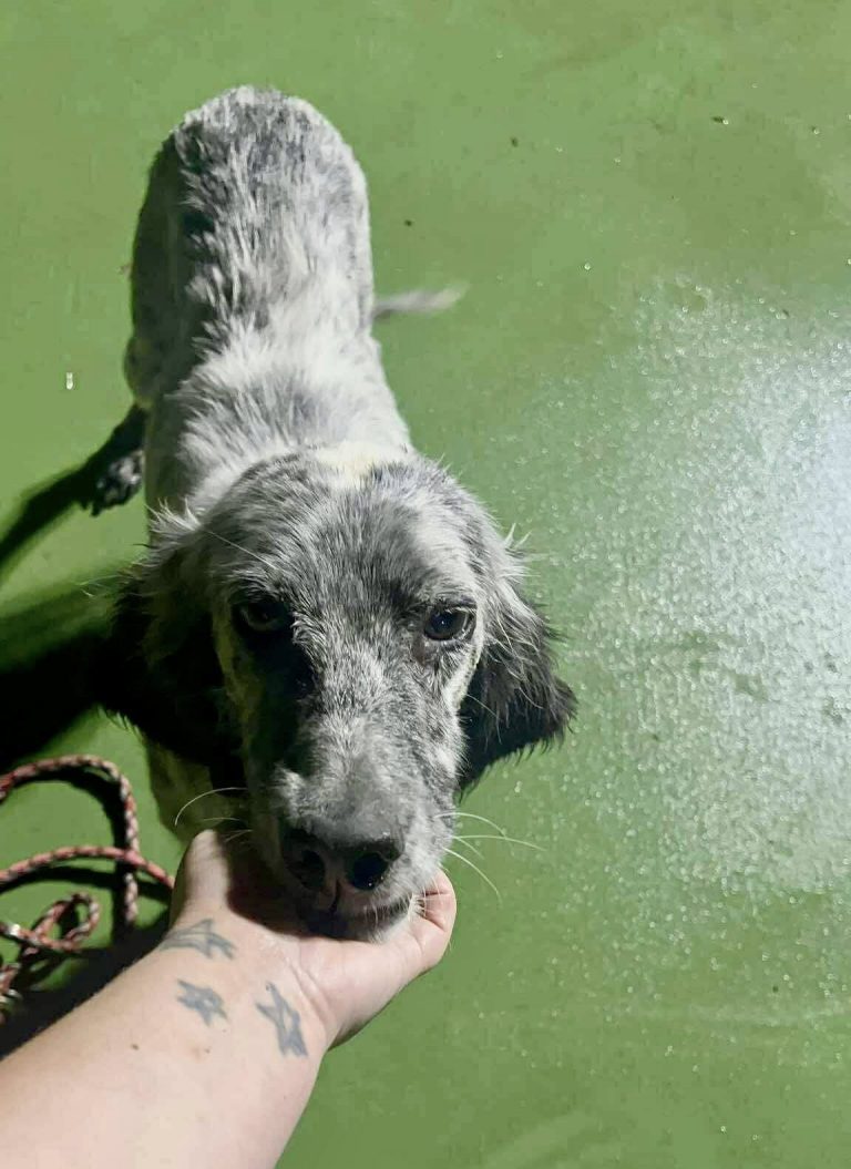 559361746_1250079813827969_1474902498777602390_n