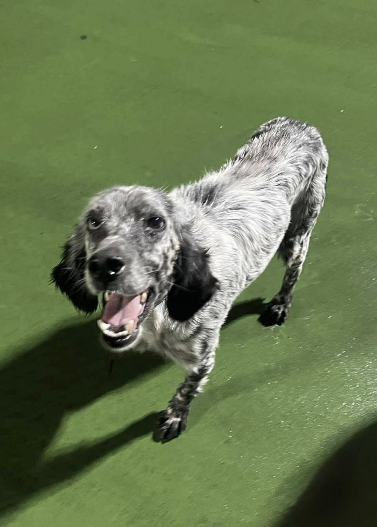 559545878_1250079820494635_4387067408331276859_n