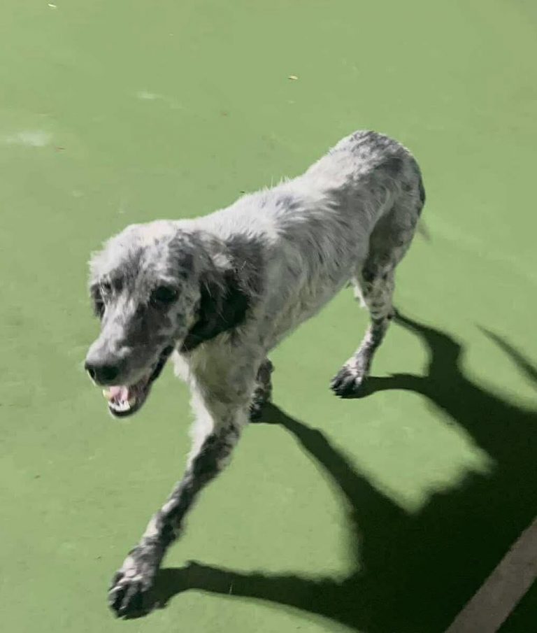 560118113_1250079767161307_2805107908484024329_n