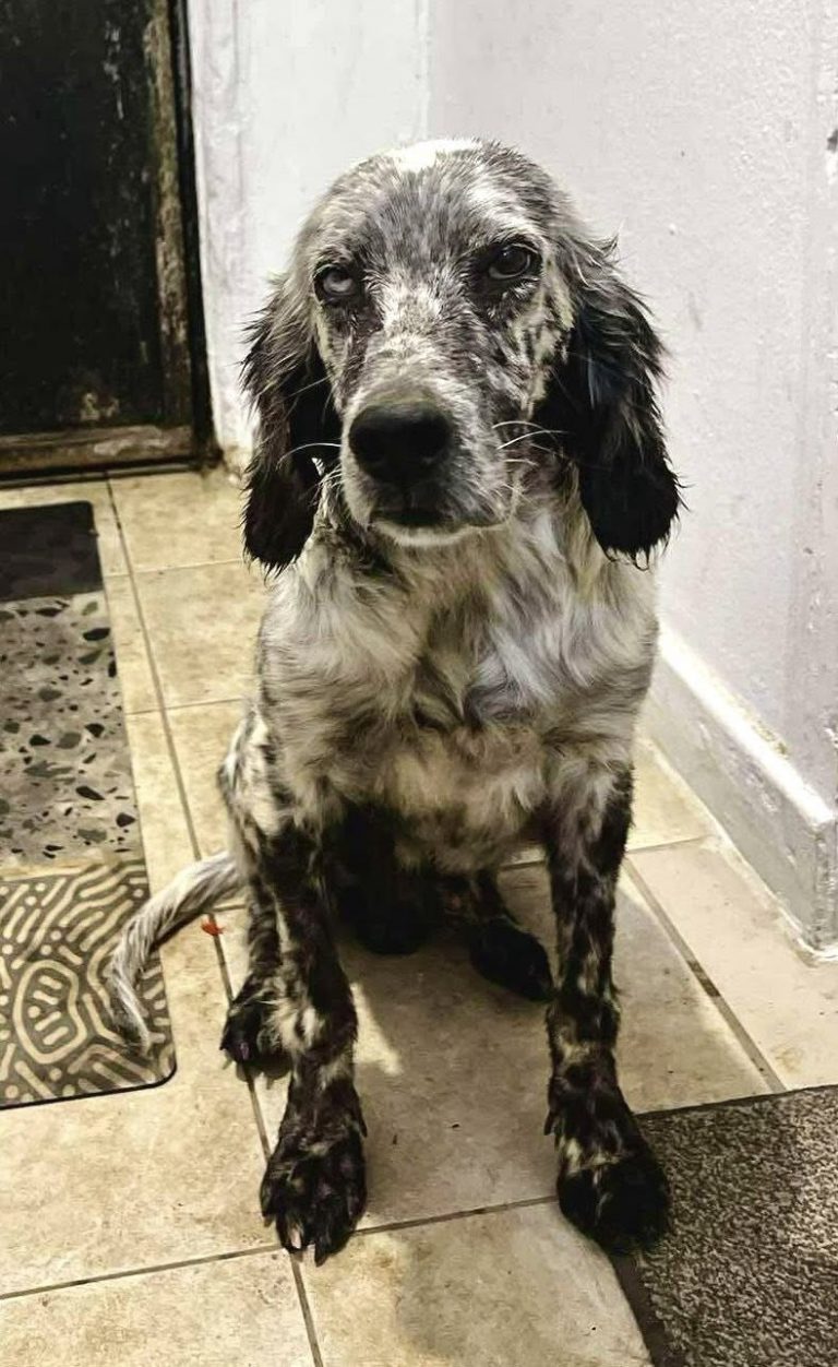 560172169_1250079773827973_3047014928357123615_n