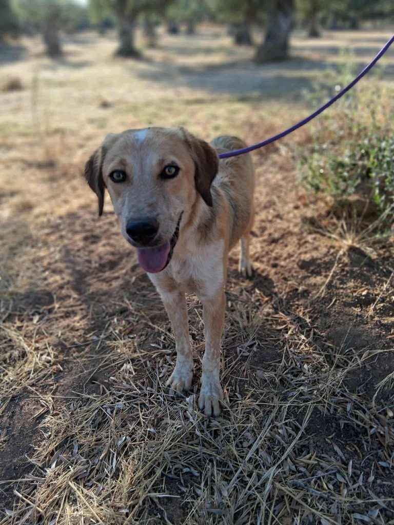 9859f6e4-f38e-40cf-918a-d1c6a3e04b15