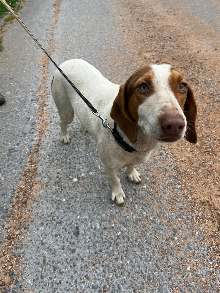 9de88362-4da3-4c27-ab38-256984205ee8