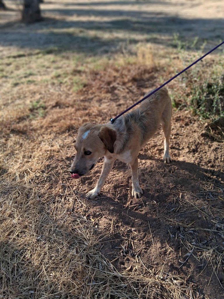 acccf8e8-d21f-49d0-b040-132da72d996d