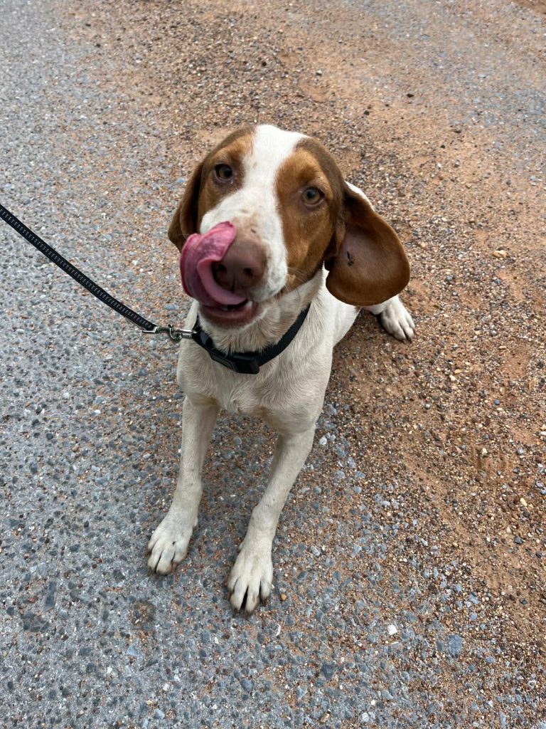 d38fe4dd-5b33-448d-b886-a72797bc0f1d