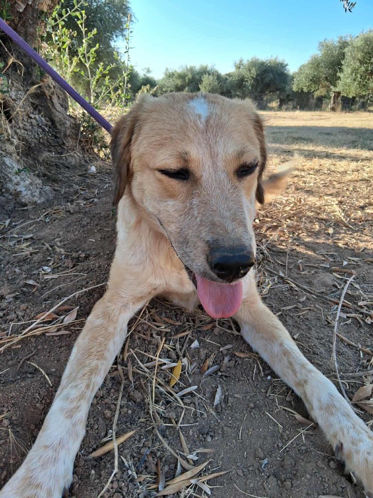 e8475fb0-ef4e-4427-96f9-cdf4a56857c5