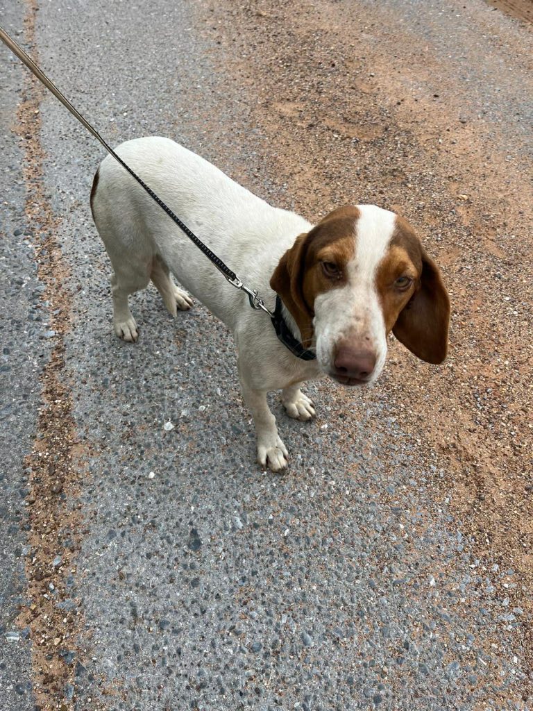 fe7ba6f6-b4a3-445b-913c-0cf1d9933cbe