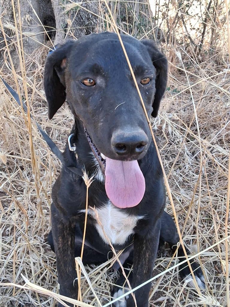 106082e3-e220-41d9-9f94-7bcfad498a6a