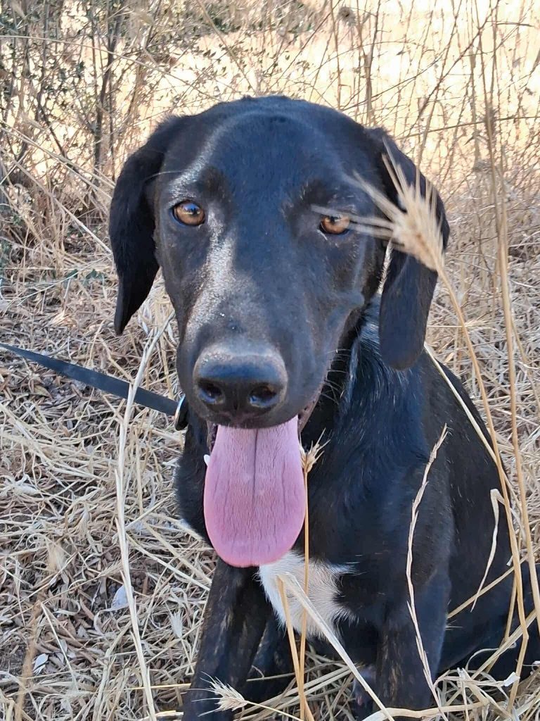 16e1848d-a5d1-4efa-aa3f-696d1bfa58e6