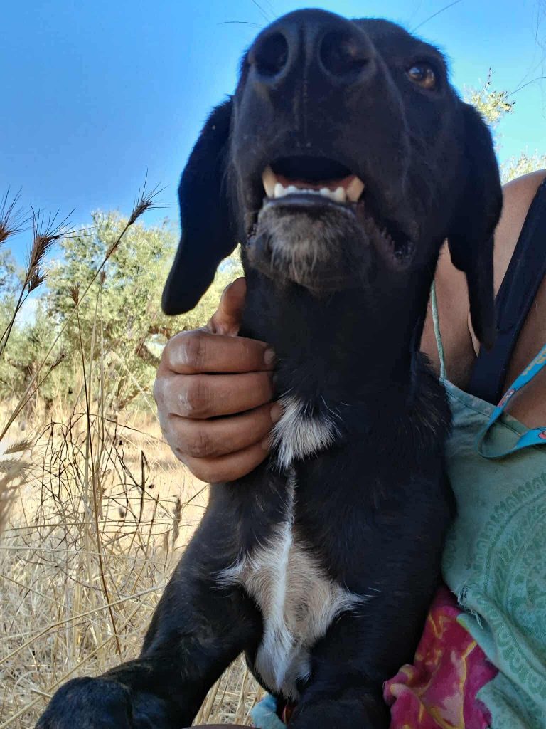 27923691-a670-4e5a-a8df-e436cfcc63be (1)