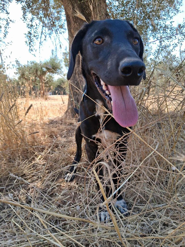 60adec31-712e-428d-a034-7169bcec1a4b