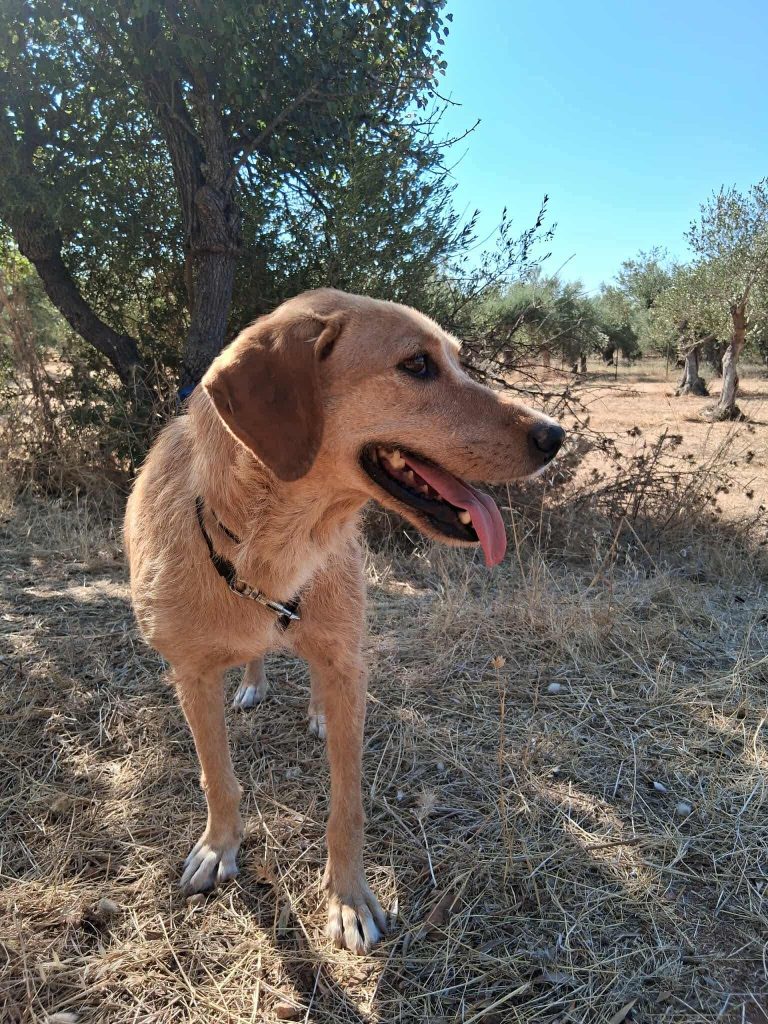 7580ceae-742f-4269-8047-e03073f98f21