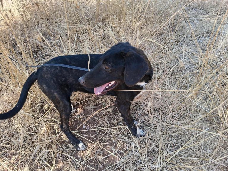 7c4e54e8-3c10-4892-88ce-22c562c765e9