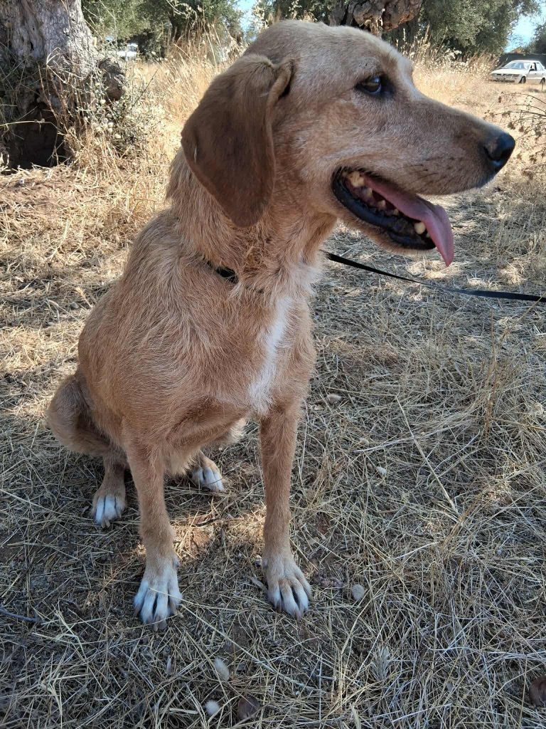 8917ff52-37ab-415b-aeed-8d3a49c0960a